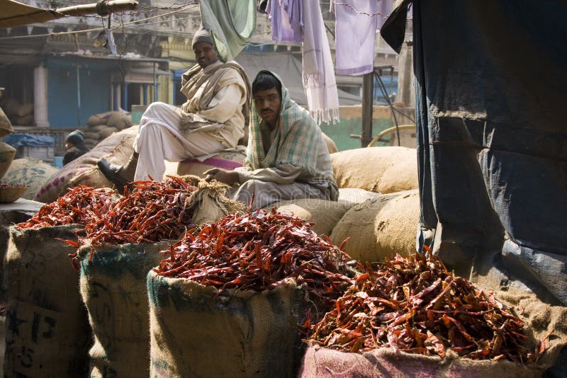 Food Market In Delhi, India Editorial Stock Image - Image of retailers