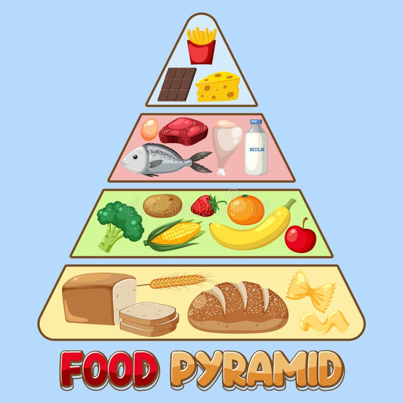 Ecosystem - Definition, Example, Structure and Function