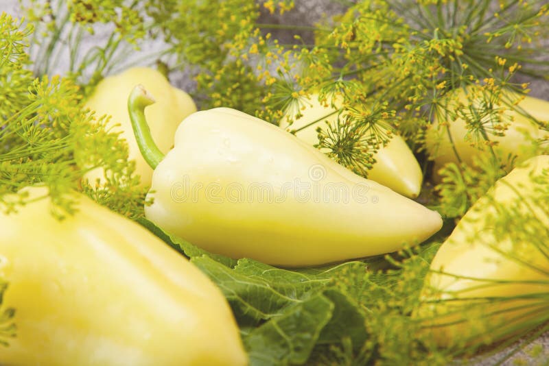 Food stock photo. Image of assortment, foodstuff, dill 106773998