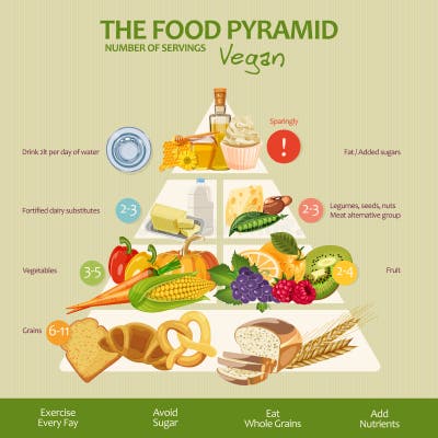 Food Pyramid Infographic Stock Illustrations – 776 Food Pyramid ...