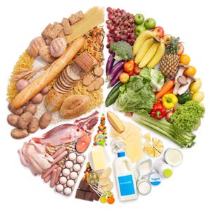 Food Group Pie Chart