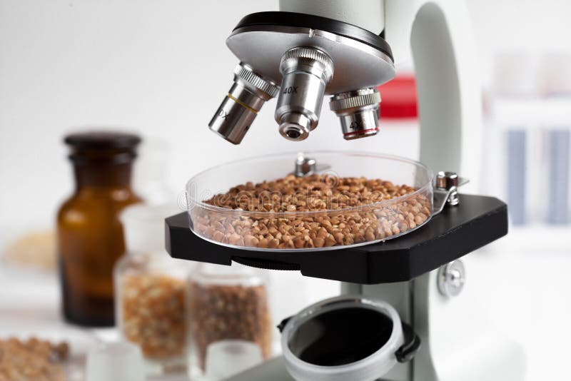 Food quality control in laboratory no one royalty free stock photos