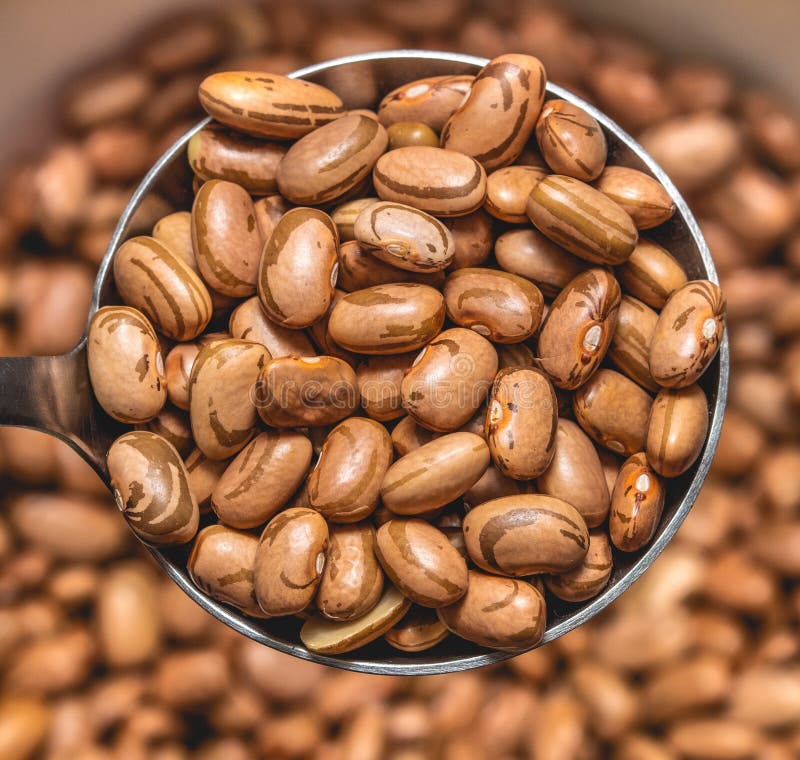 Bean grains Carioca stock image. Image of botanical 102557345