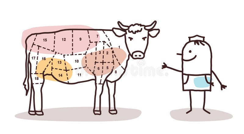 Food retailer - butcher and beef