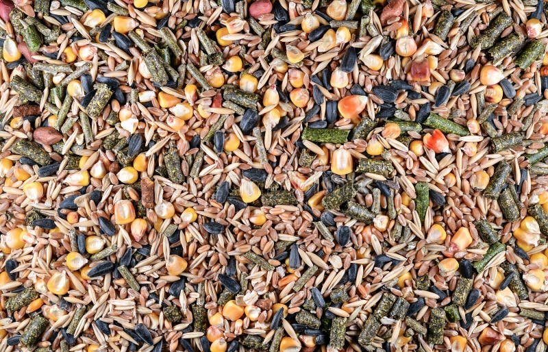 Food for rodents. Healthy animal food background. Food of dry compound for hamsters, rats, chinchillas, mice, squirrels consisting stock photos Food for rodents. Healthy animal food background. Food of dry compound for hamsters, rats, chinchillas, mice, squirrels consisting stock photos