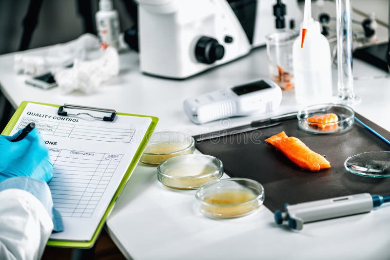 Food Safety and Quality Management. Inspector Filling Out Quality Control Form in a Laboratory