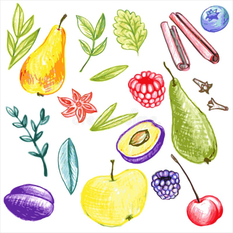 Free Vector | Variety of colorful healthy food