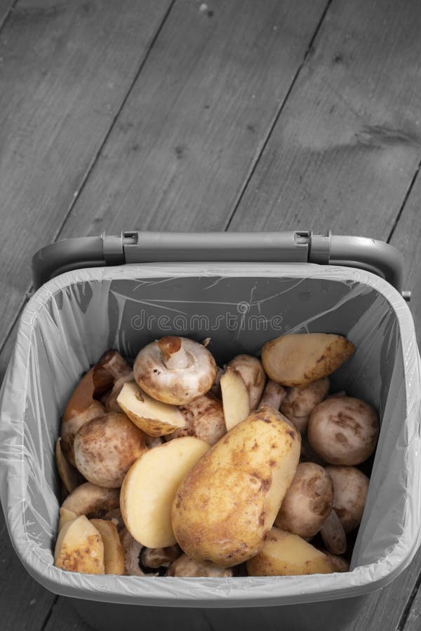 Food Waste Recycling Bin Container with Rotten Vegetables Inside. Food Waste Concept Stock Photo