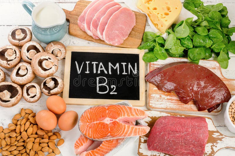 Foods Highest in Vitamin B2 Riboflavin. Flat lay