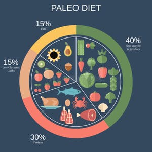 Food Pyramid Pie Chart Stock Illustrations 55 Food Pyramid Pie Chart Stock Illustrations