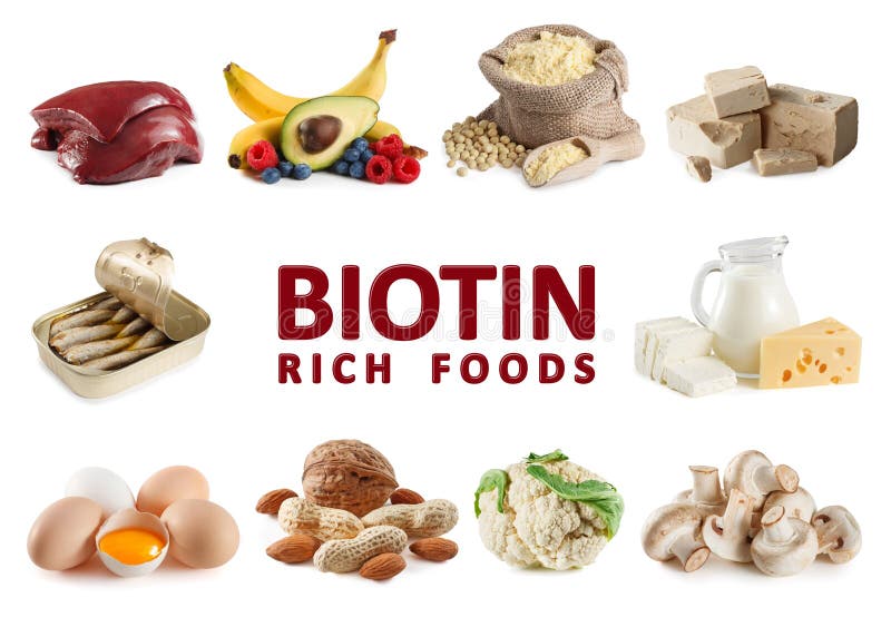 Foods som är rika i Biotinvitaminet B7 royaltyfria bilder Foods som är rika i Biotinvitaminet B7 royaltyfria bilder