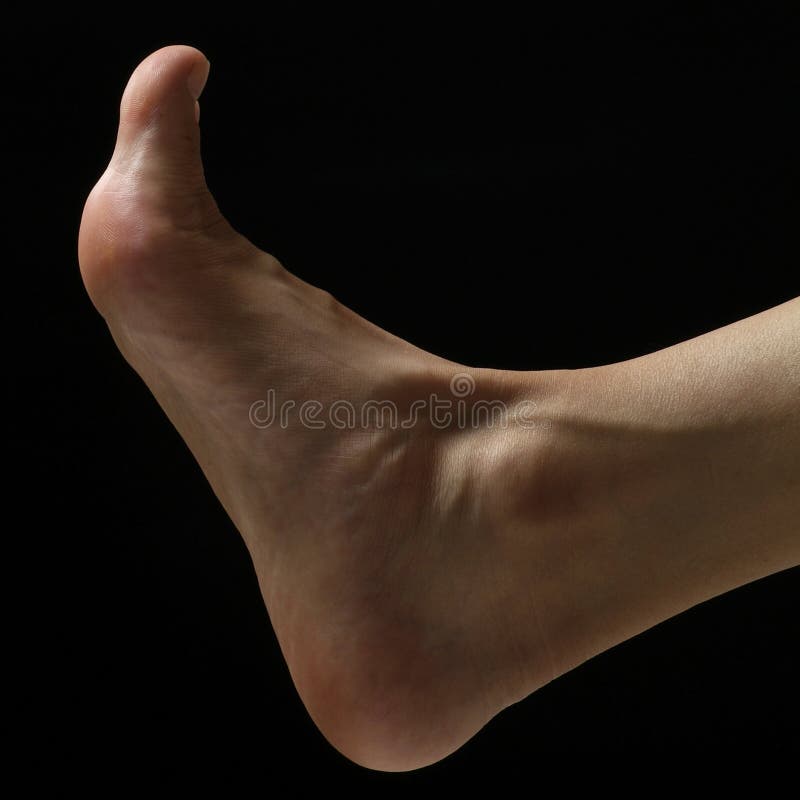 Foot