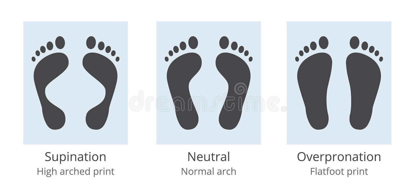 Supination Stock Illustrations – 121 Supination Stock