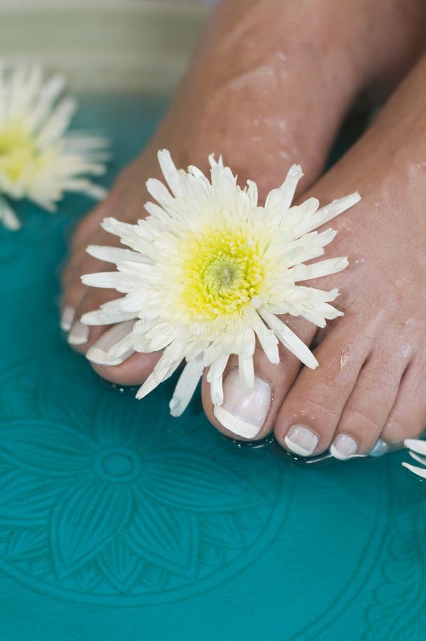 Foot Bath Massage with Herbs and Flowers Stock Image Image of