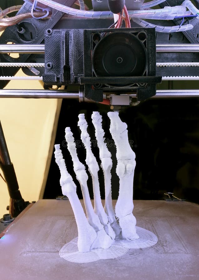Foot Bones Printing. 3D Printing Model of Human Foot Bones royalty free stock image Foot Bones Printing. 3D Printing Model of Human Foot Bones royalty free stock image