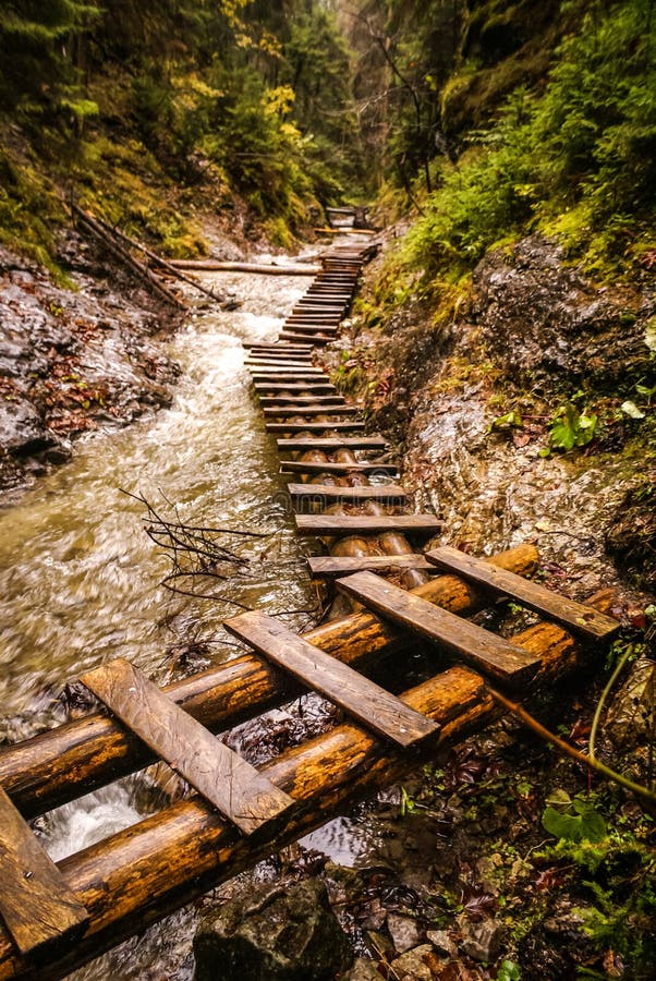 Foot-bridges in Slovak Paradise