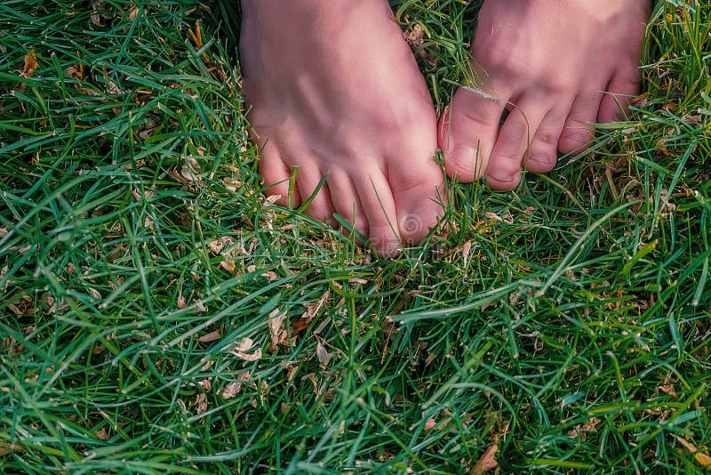 Foot on the grass stock image. Image of foot, ecological 11719541