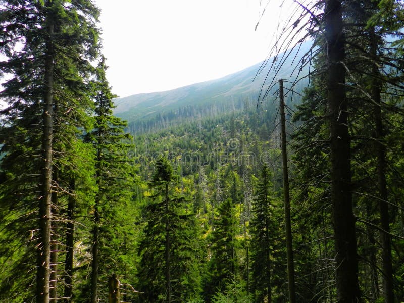 At the foot of a mountains stock photo. Image of youve 125276414
