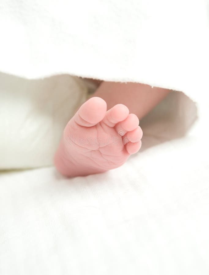 Foot of newborn baby stock photo. Image of little, childhood 11508882
