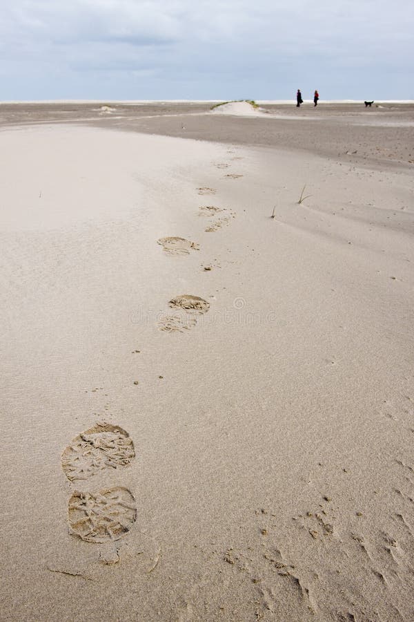 Foot print of woman walking in the sand dunes