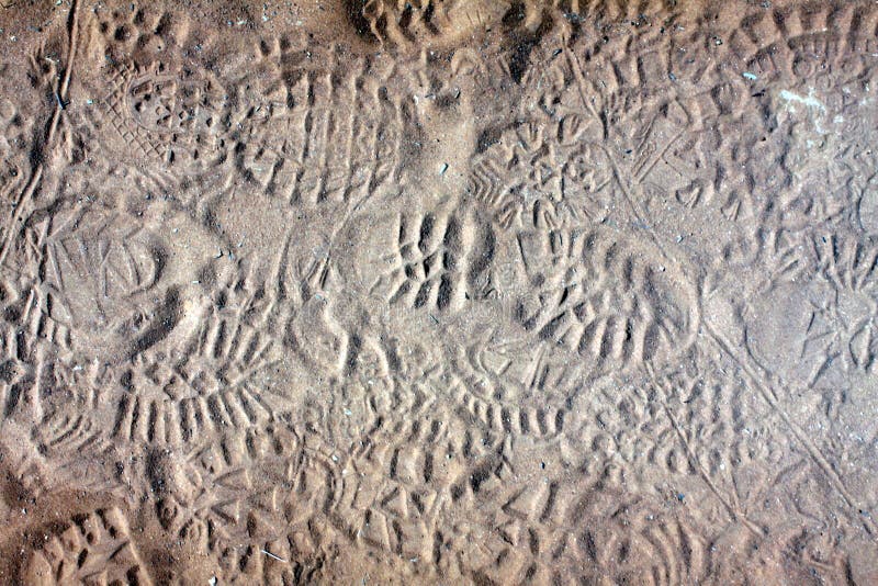 Foot Prints in Dust on Hiking Trail