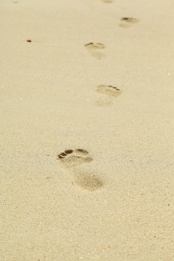 Foot prints in the sand stock image. Image of leisure - 50945705