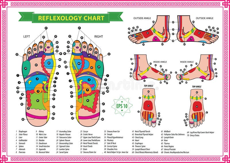 Foot Reflexology Chart Pregnancy