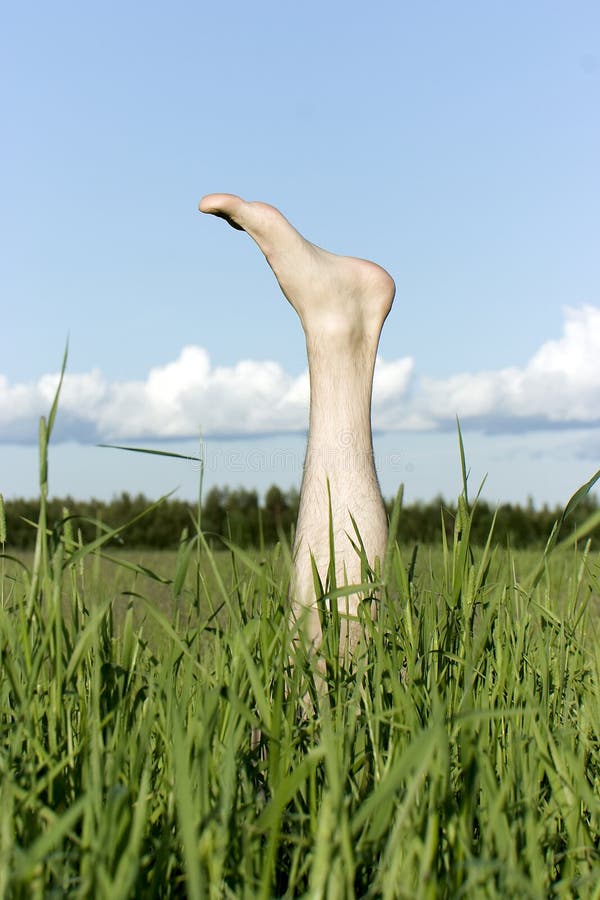 Foot Sticking Out of a Grass Stock Image Image of green, nature 12054297