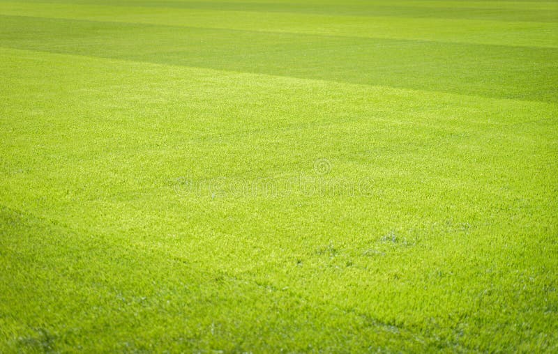 Football field background