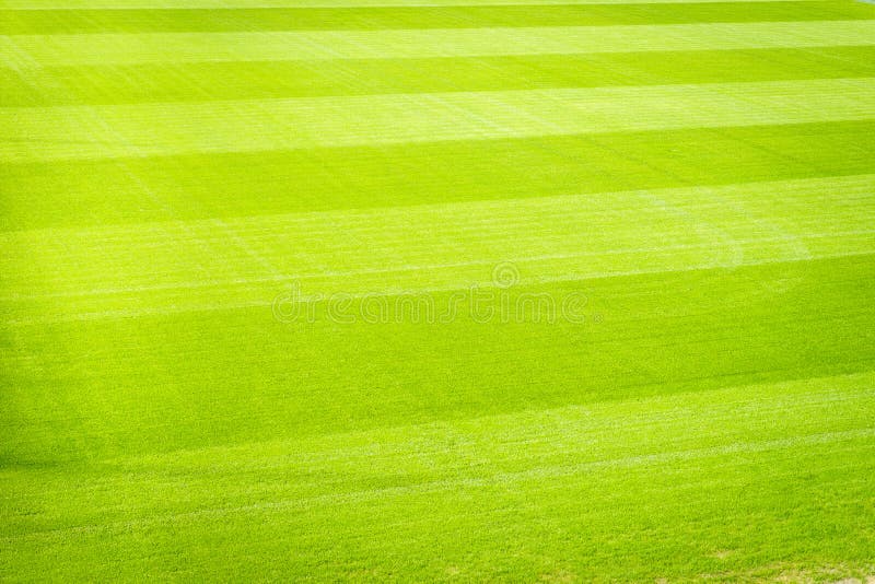 Football field background