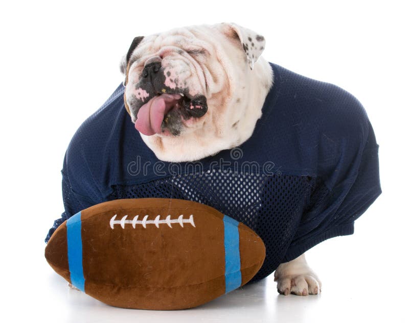 Football Player with Attitude Stock Photo Image of tongue, alone