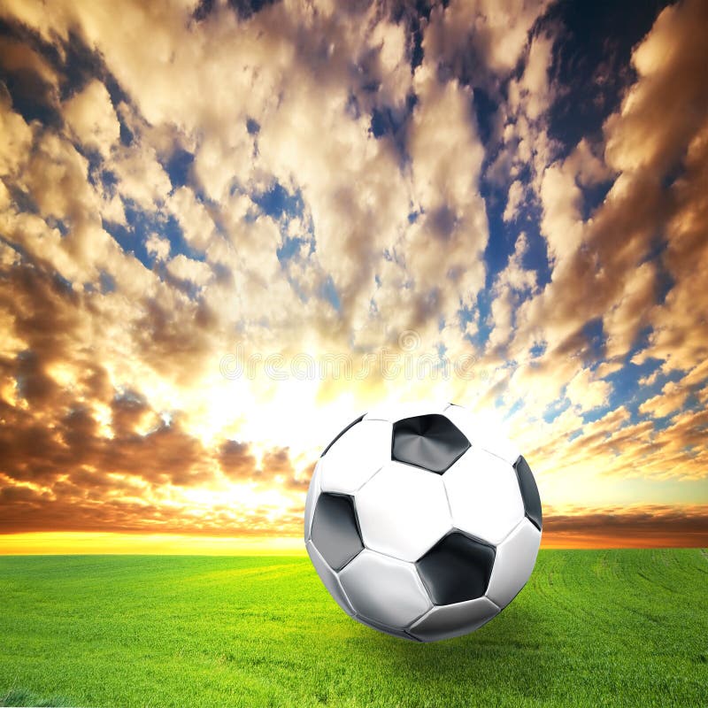 Football, Soccer Ball on Grass Stock Photo - Image of game, play: 24202890