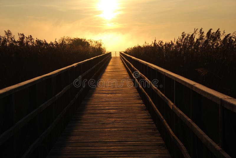 Footbridge