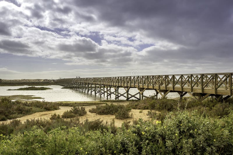 Footbridge heading to Quinta do Lago beach, in Ria Formosa. Algarve royalty free stock photo Footbridge heading to Quinta do Lago beach, in Ria Formosa. Algarve royalty free stock photo