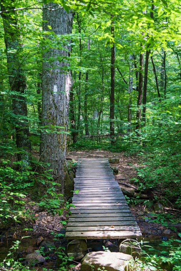 Footbridge Hiker вдоль аппалачского следа стоковые изображения Footbridge Hiker вдоль аппалачского следа стоковые изображения