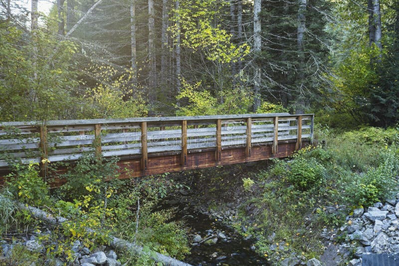 Footbridge over a stream in Idaho royalty free stock photos