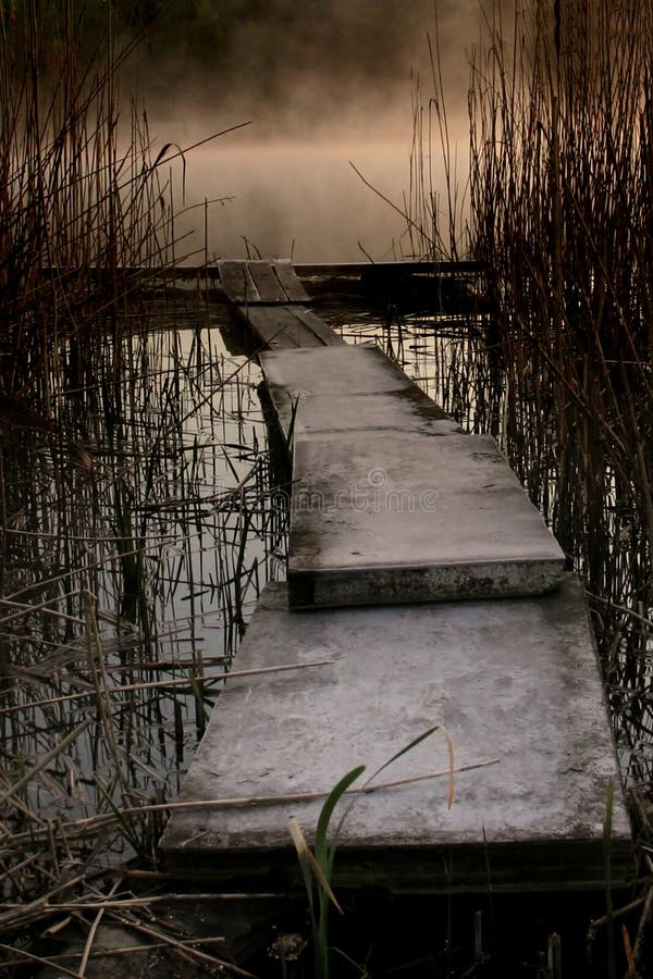 Footbridge on the pond