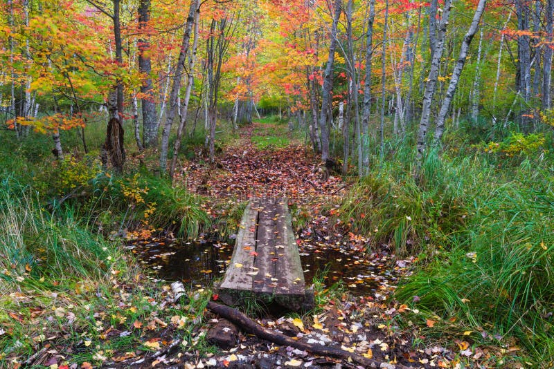 Footbridge, Sieur de Monts Nature Center area, Acadia NP, Maine. Footbridge in the Sieur de Monts Nature Center Area in Acadia National Park, Mount Desert Island stock image Footbridge, Sieur de Monts Nature Center area, Acadia NP, Maine. Footbridge in the Sieur de Monts Nature Center Area in Acadia National Park, Mount Desert Island stock image