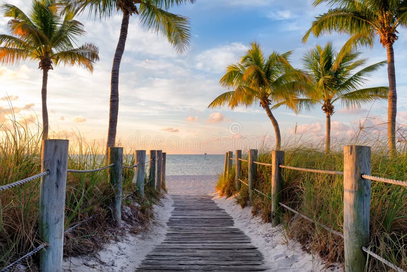 Footbridge to the beach stock photo Footbridge to the beach stock photo