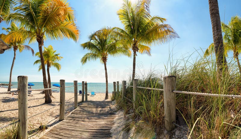 Footbridge to the beach royalty free stock photo Footbridge to the beach royalty free stock photo