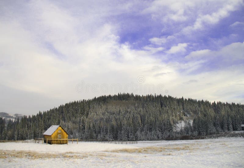 Foothills Cabin