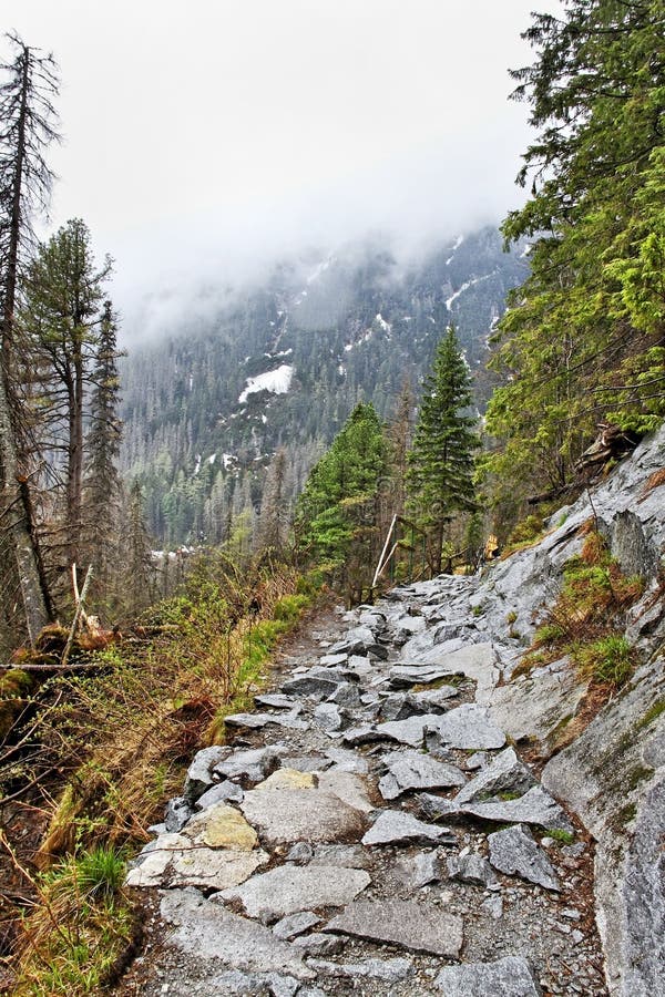 Footpash in Tatras.