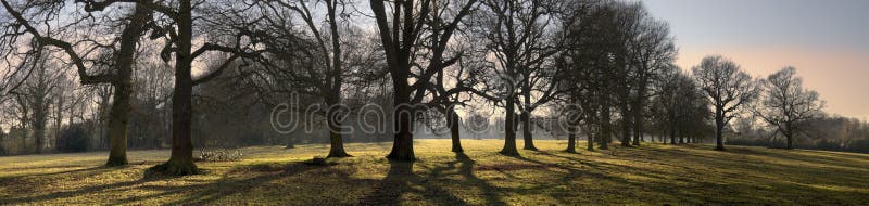 324,412 Footpath Photos - Free & Royalty-Free Stock Photos from Dreamstime