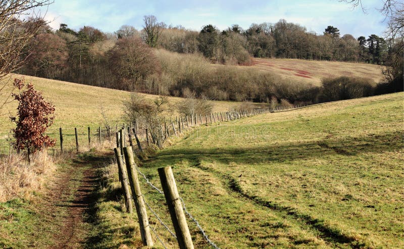 Footpath in the Chiltern Hills, UK