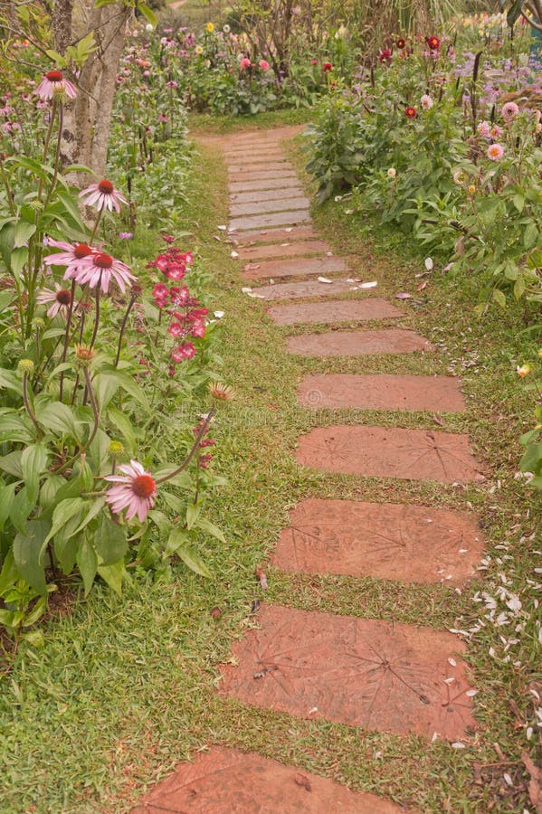 Footpath in the garden stock image. Image of nature, green 23340587