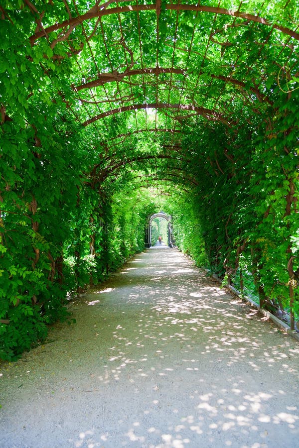 Footpath in Schonbrunn Palace Park. Footpath with green leaved arches in Schonbrunn Palace Park in Vienna royalty free stock image Footpath in Schonbrunn Palace Park. Footpath with green leaved arches in Schonbrunn Palace Park in Vienna royalty free stock image