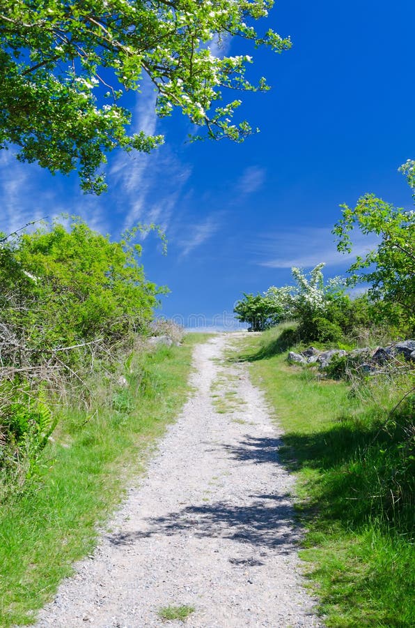 Footpath in spring colors royalty free stock photography