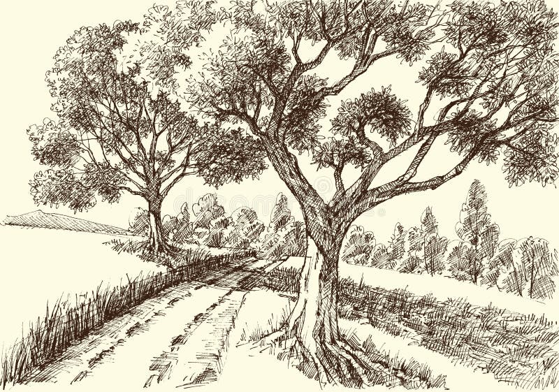 rene fijten sketches: Hedge near the Patersweg