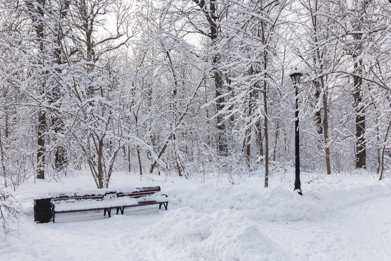 Footpaths in the Moscow city Park. Trees in snow. Winter, Sunny frosty. stock images Footpaths in the Moscow city Park. Trees in snow. Winter, Sunny frosty. stock images