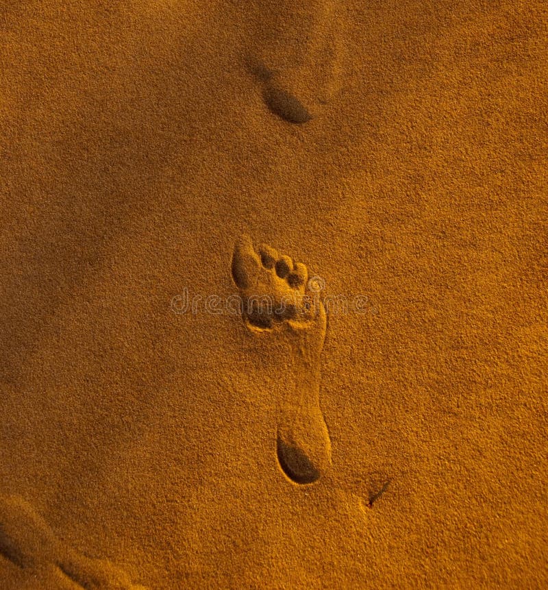 Footprint